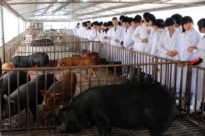 在贵阳选择贵州农业职业学院学习畜牧兽医专业如何