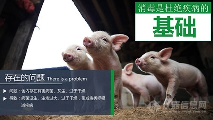 养猪场消毒喷雾器,阻断非洲猪瘟行之有效